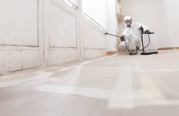 24/7 Emergency Mold Remediation experts in Haddon Heights, NJ