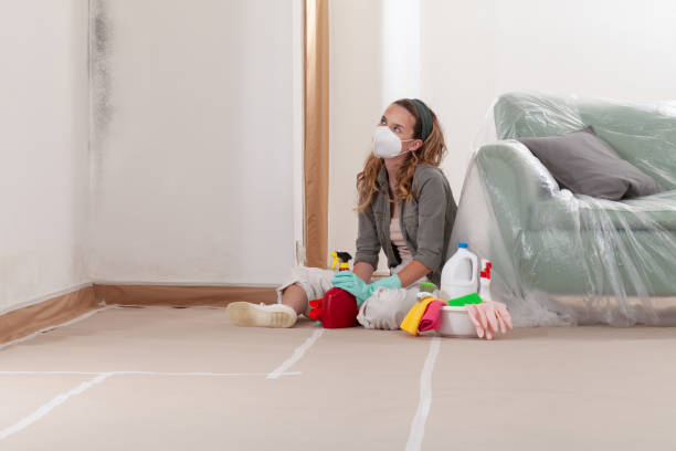 Reliable Mold Remediation contractor in Haddon Heights, NJ by 24 Hour Mold Removal