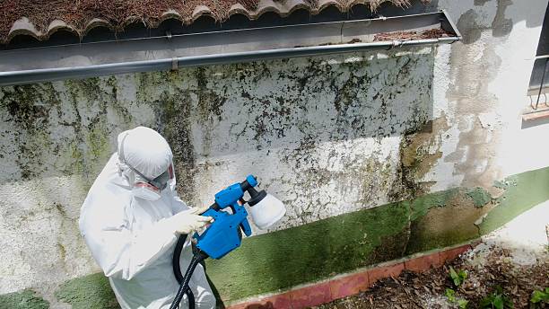 Top rated local Mold Remediation specialists in Haddon Heights, NJ